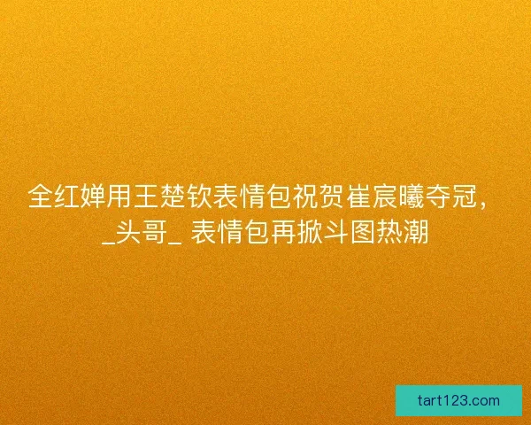 全红婵用王楚钦表情包祝贺崔宸曦夺冠，_头哥_ 表情包再掀斗图热潮