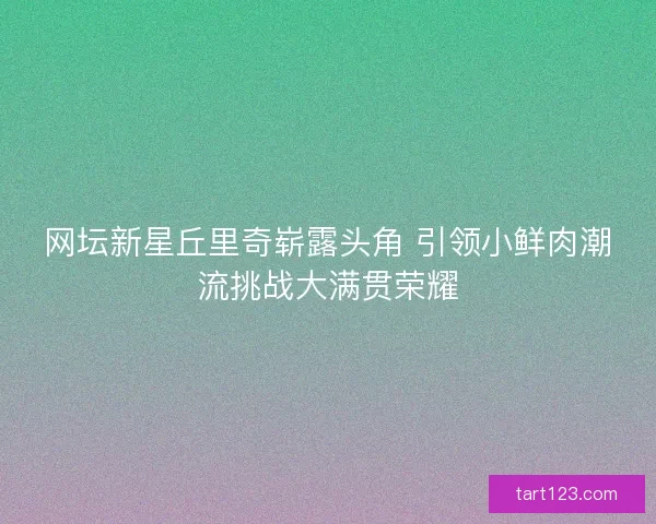 网坛新星丘里奇崭露头角 引领小鲜肉潮流挑战大满贯荣耀